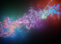 Genómica y Prevención: Cómo la Genética Puede Predecir Enfermedades