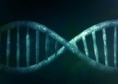 Decodificando tu ADN: Explora los Secretos de tu Genética